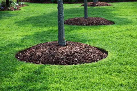 Jobs in Lakeview Landscaping - reviews